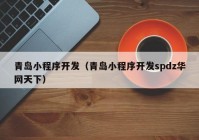 青島小程序開(kāi)發(fā)（青島小程序開(kāi)發(fā)spdz華網(wǎng)天下）